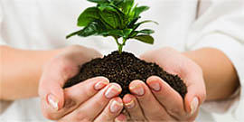 Cégalapítás, cégmódosítás